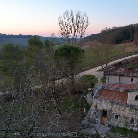 Grand Gite Les Cabanes De Fallot Pour 19 Personnes - Piscine Naturelle L'isle-Bouzon Luaran gambar